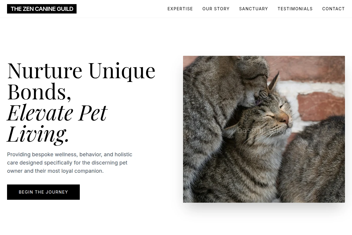 Paws Animal Care